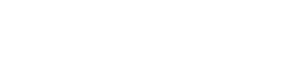 logotipo branco vision life